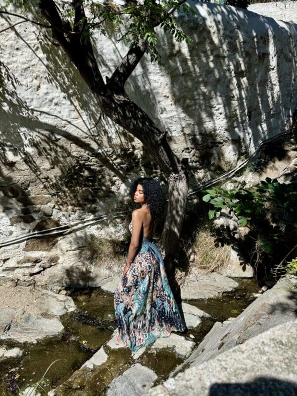 AISHA HI LOW DRESS LONG GOA - Image 3