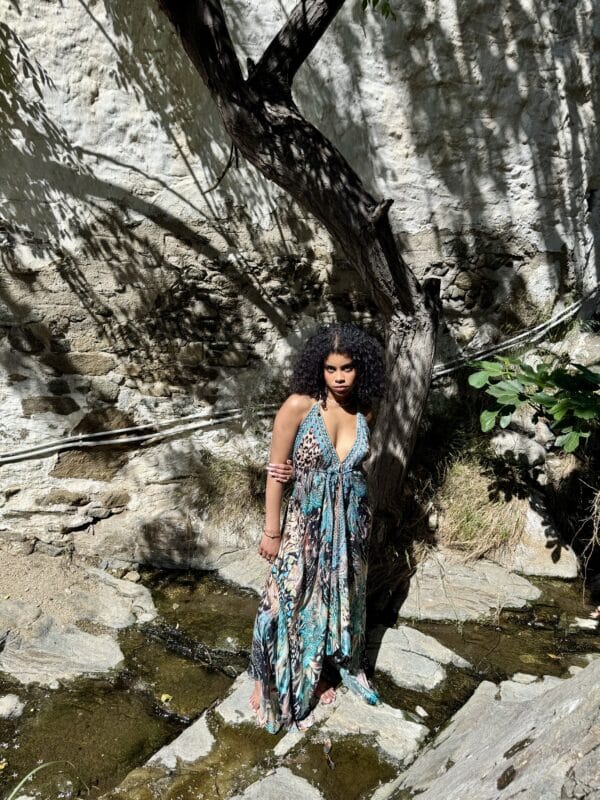 AISHA HI LOW DRESS LONG GOA - Image 4