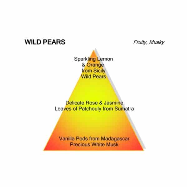 Montale Wild Pears Eau de Parfum 100 ml - Image 3