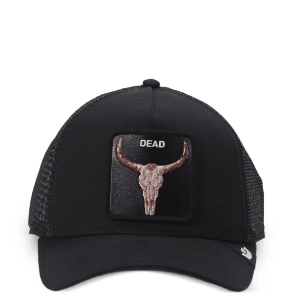 35253368 66999685 2048